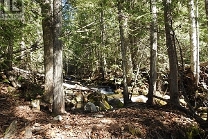 50 East Poirier Road - Photo 14
