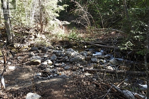 50 East Poirier Road - Photo 15