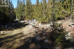50 East Poirier Road - Photo 18