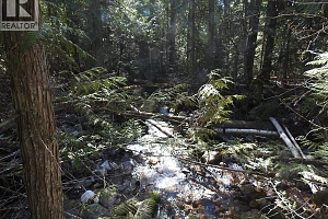 50 East Poirier Road - Photo 18