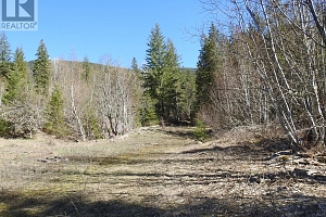 50 East Poirier Road - Photo 19