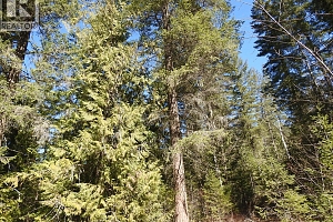 50 East Poirier Road - Photo 19