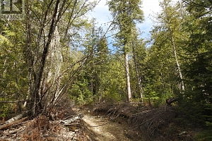 50 East Poirier Road - Photo 20