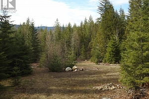 50 East Poirier Road - Photo 21