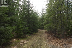 50 East Poirier Road - Photo 23