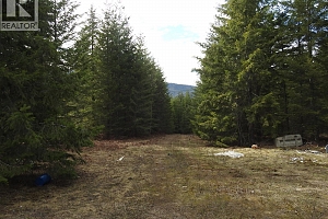 50 East Poirier Road - Photo 26