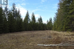 50 East Poirier Road - Photo 27