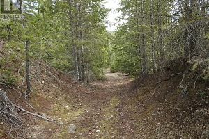 50 East Poirier Road - Photo 29