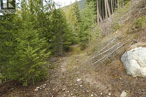 50 East Poirier Road - Photo 29