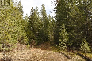 50 East Poirier Road - Photo 30