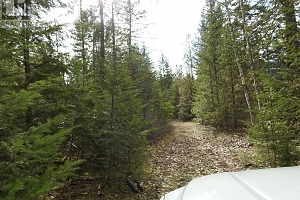 50 East Poirier Road - Photo 31