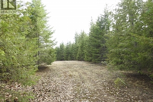 50 East Poirier Road - Photo 33