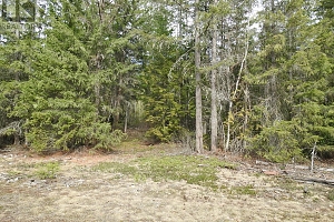 50 East Poirier Road - Photo 34