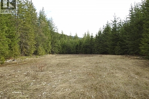 50 East Poirier Road - Photo 34