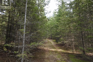 50 East Poirier Road - Photo 35