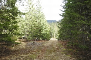 50 East Poirier Road - Photo 36