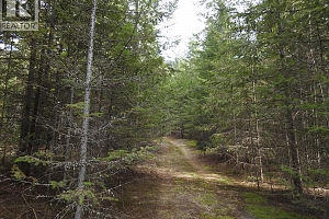 50 East Poirier Road - Photo 36