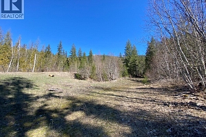 50 East Poirier Road - Photo 38