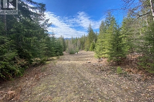 50 East Poirier Road - Photo 39