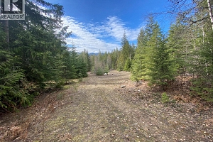 50 East Poirier Road - Photo 39