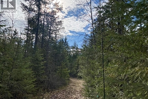 50 East Poirier Road - Photo 41