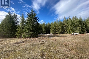 50 East Poirier Road - Photo 43