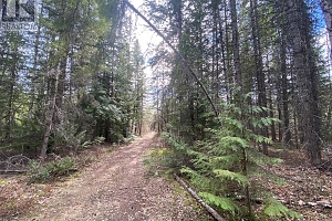 50 East Poirier Road - Photo 44
