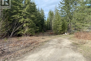 50 East Poirier Road - Photo 44