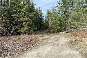 50 East Poirier Road - Photo 45