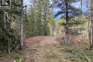 50 East Poirier Road - Photo 45