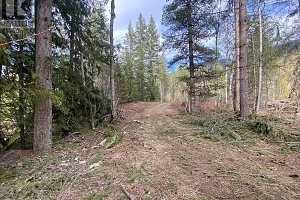 50 East Poirier Road - Photo 47
