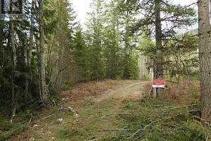 50 East Poirier Road - Photo 49