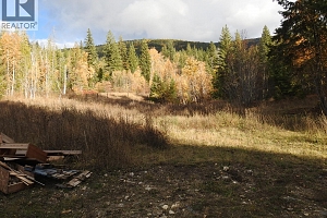 50 East Poirier Road - Photo 50