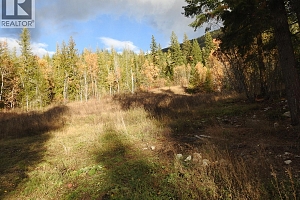 50 East Poirier Road - Photo 53