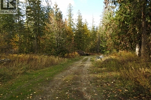 50 East Poirier Road - Photo 57