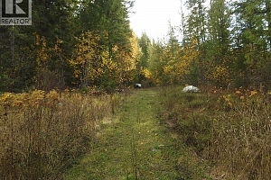 50 East Poirier Road - Photo 58