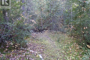 50 East Poirier Road - Photo 59