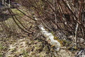 50 East Poirier Road - Photo 6
