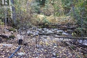 50 East Poirier Road - Photo 60