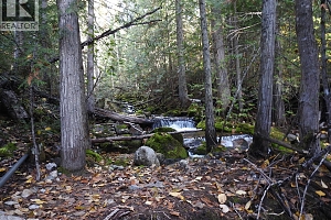 50 East Poirier Road - Photo 61