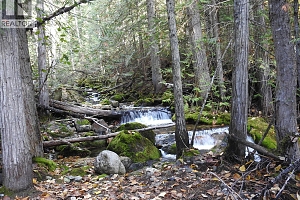 50 East Poirier Road - Photo 62