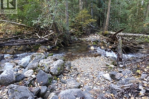 50 East Poirier Road - Photo 63