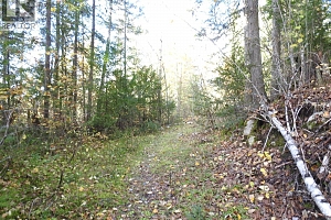 50 East Poirier Road - Photo 64