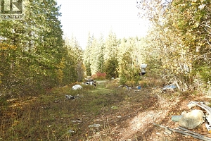 50 East Poirier Road - Photo 65