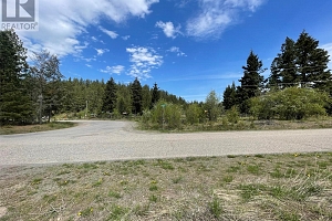 554 Bluebird Drive - Photo 10