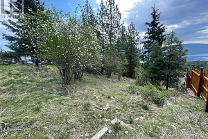 554 Bluebird Drive - Photo 11