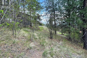 554 Bluebird Drive - Photo 14