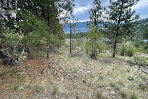 554 Bluebird Drive - Photo 17