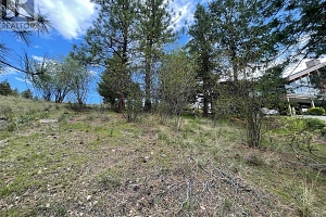554 Bluebird Drive - Photo 18