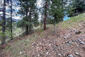 554 Bluebird Drive - Photo 19